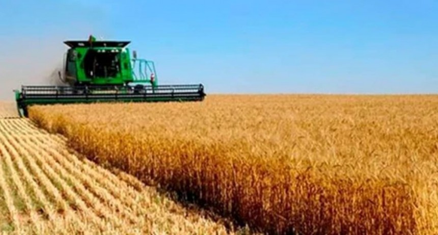 Impulsados por las lluvias, los productores concluyen la siembra de trigo