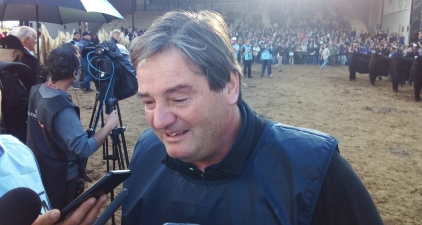 Palermo 2024: Gran Campeona Hembra Aberdeen Angus