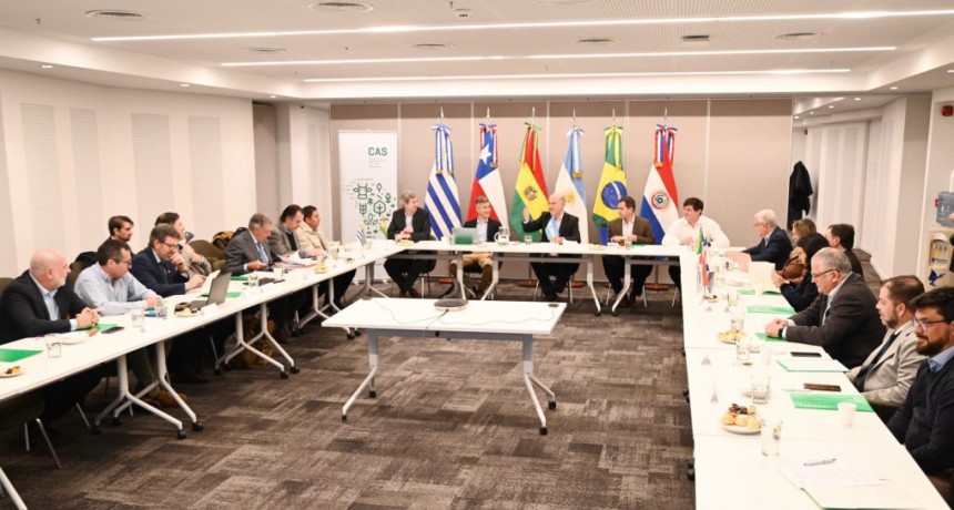 Argentina junto a los pa&iacute;ses que integran el CAS piden la postergaci&oacute;n del reglamento de deforestaci&oacute;n de la Uni&oacute;n Europea
