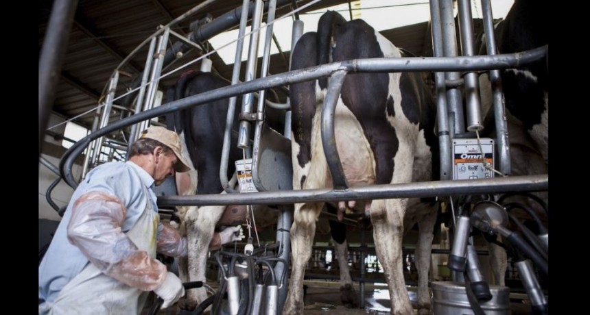 Cu&aacute;les son las medidas que el Gobierno tomar&aacute; a favor del campo
