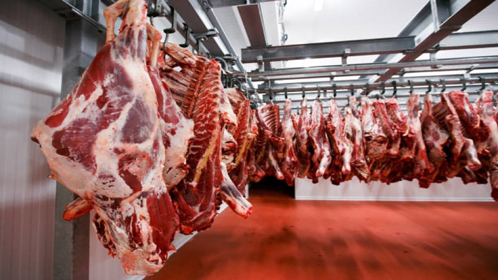 Presentaron un amparo por el decreto que habilita el ingreso de carne con hueso a la Patagonia 