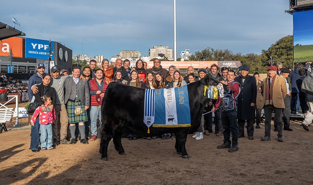 Don Abraham repite y nuevamente se consagra con la Gran Campeona Angus de Palermo