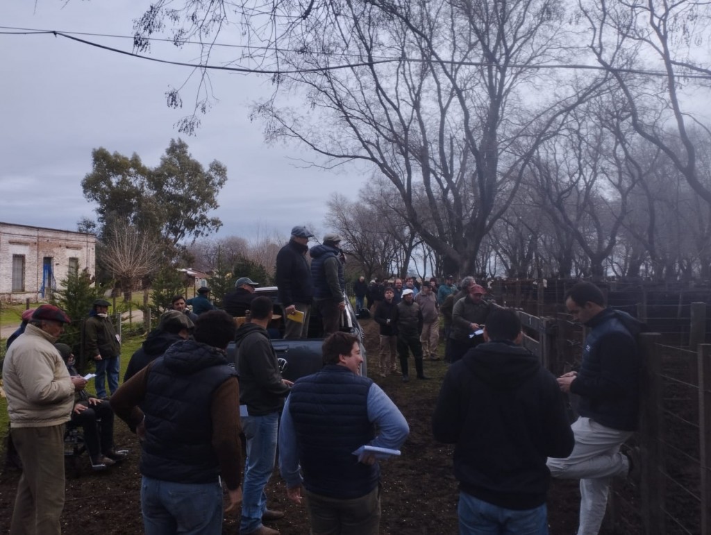 Gran remate mensual de Guillermo Sorsoli en Recalde