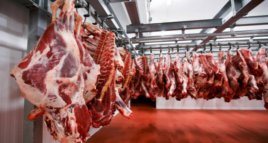 Presentaron un amparo por el decreto que habilita el ingreso de carne con hueso a la Patagonia 