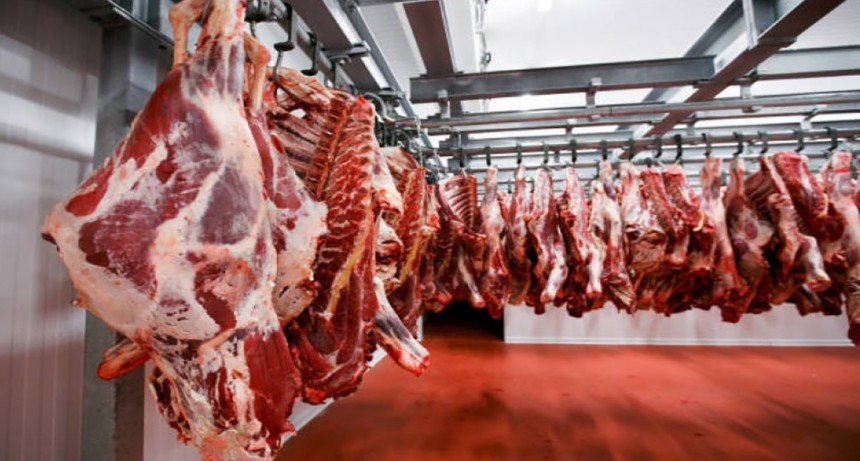 Duro comunicado de productores rurales: "A la Patagonia le mintieron y la dejaron sin status sanitario"