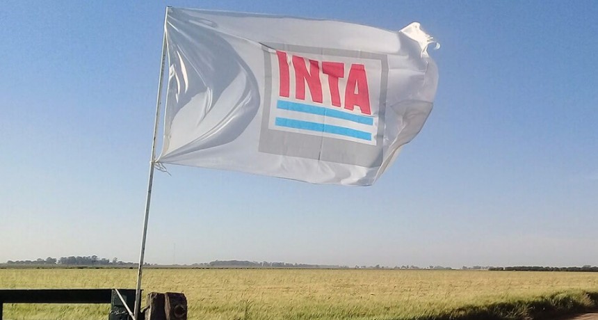 Cambios en el INTA: nombraron a las autoridades y parte del consejo t&eacute;cnico