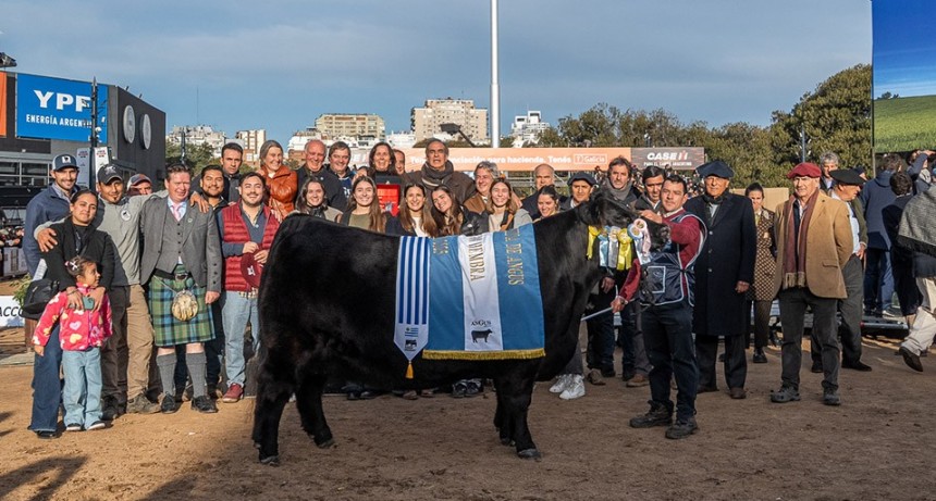 Don Abraham repite y nuevamente se consagra con la Gran Campeona Angus de Palermo