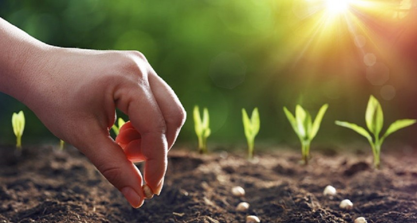 Alertan que al campo le podr&iacute;a quedar sin cubrir un 57% de sus necesidades de fertilizantes