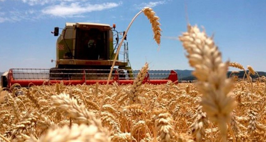 El campo aport&oacute; u$s 9.000 millones por retenciones: qu&eacute; se espera hasta fin de a&ntilde;o