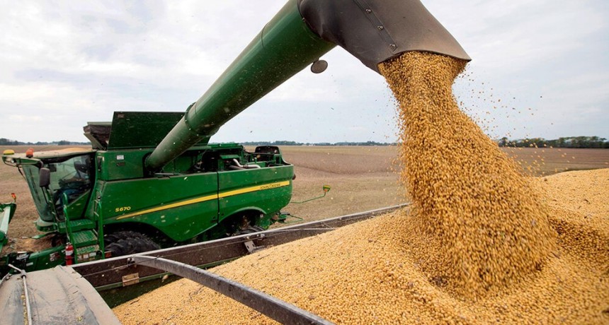 El campo liquid&oacute; USD 780 millones en la primera semana de agosto y alcanzar&iacute;a a los USD 3.000 millones en el mes
