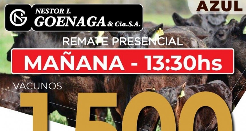 Se viene un nuevo remate de la firma N&eacute;stor I. Goenaga