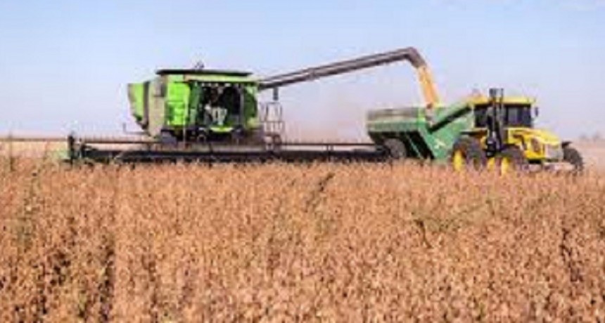 El campo deber&aacute; afrontar costos hasta un 165% m&aacute;s altos para volver a sembrar