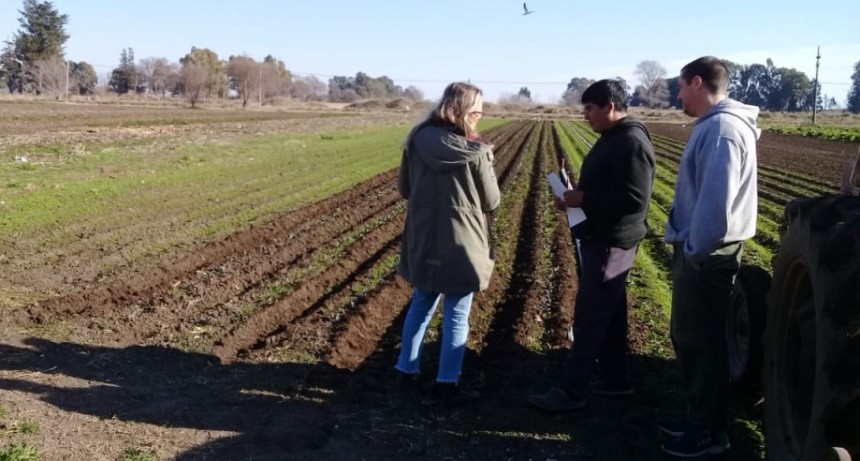 Desarrollo Agropecuario: visita a quintas hort&iacute;colas locales