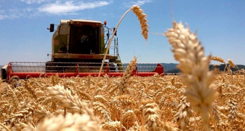 Actualizaci&oacute;n del Registro de Exportadores de Granos de ma&iacute;z, sorgo, soja y cebada a China