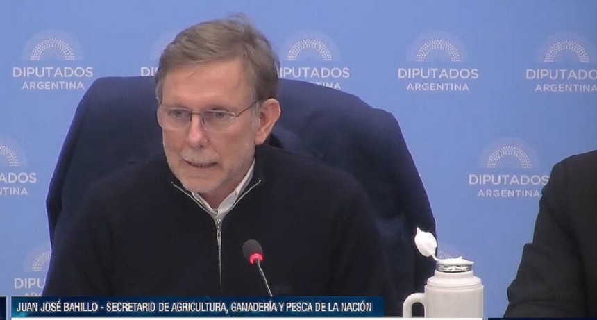 Bahillo en Diputados: "La Ley Agroindustrial ayudar&aacute; al desarrollo de las econom&iacute;as regionales"