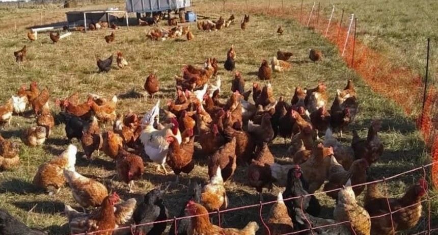 Desarrollo Sustentable en la chacra agroecol&oacute;gica 'El Aromo'