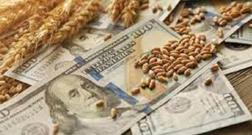 D&oacute;lares del agro: cu&aacute;nto se liquid&oacute; hasta ahora bajo el plan de incentivo del Gobierno