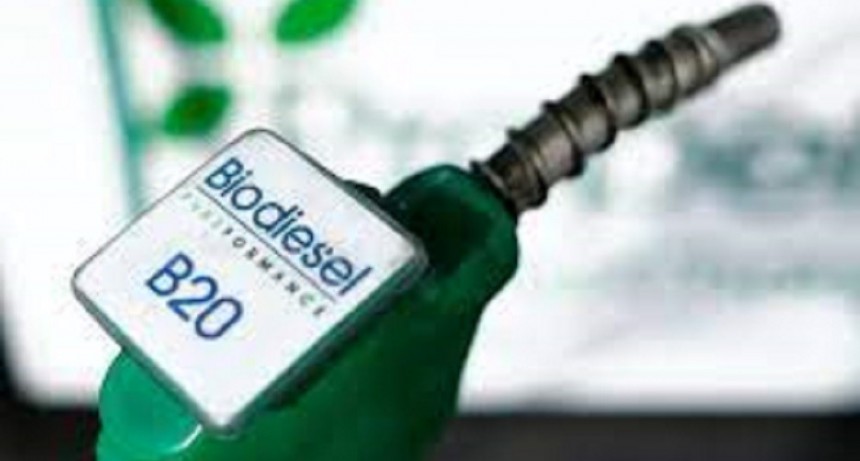 Biocombustibles: empresas de biodi&eacute;sel reclaman extender el corte de 12,5 %