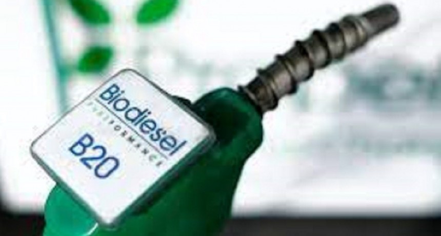 El Gobierno prorrog&oacute; el corte de 12,5% del biodi&eacute;sel