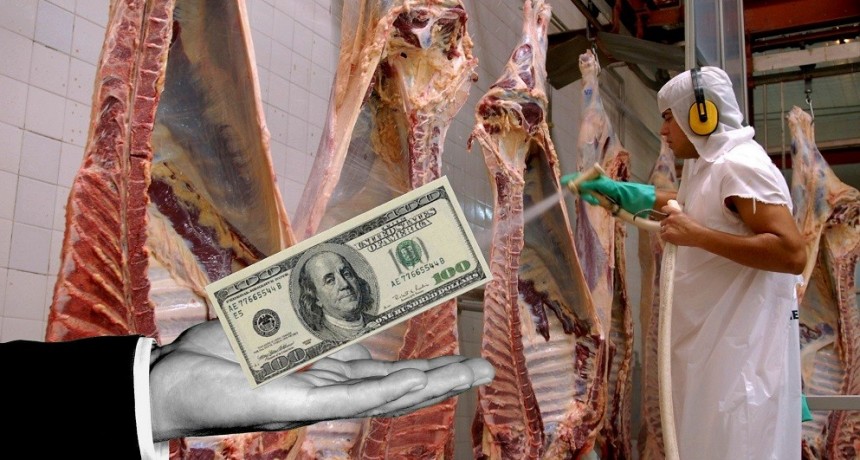 El Gobierno y los frigor&iacute;ficos negocian abrir el cepo a la carne: cu&aacute;ntos d&oacute;lares ingresar&iacute;an
