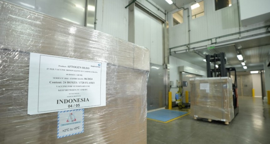 La Argentina inici&oacute; la primera exportaci&oacute;n de vacunas contra la fiebre aftosa a Indonesia