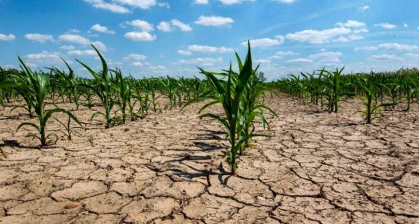 Prev&eacute;n que se fortalezca La Ni&ntilde;a: se agravar&iacute;a la sequ&iacute;a con p&eacute;rdidas para el agro