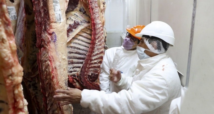 El Gobierno permitir&aacute; que se exporte un 15% m&aacute;s de carne vacuna