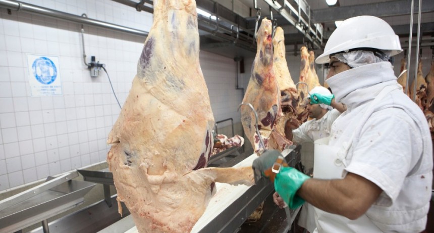 Los precios de la carne subieron hasta 20% por el "d&oacute;lar ma&iacute;z"