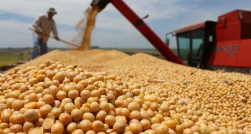 Ya se vendieron 5 millones de toneladas de granos con el nuevo d&oacute;lar agro e ingresaron m&aacute;s de US$ 1.600 millones
