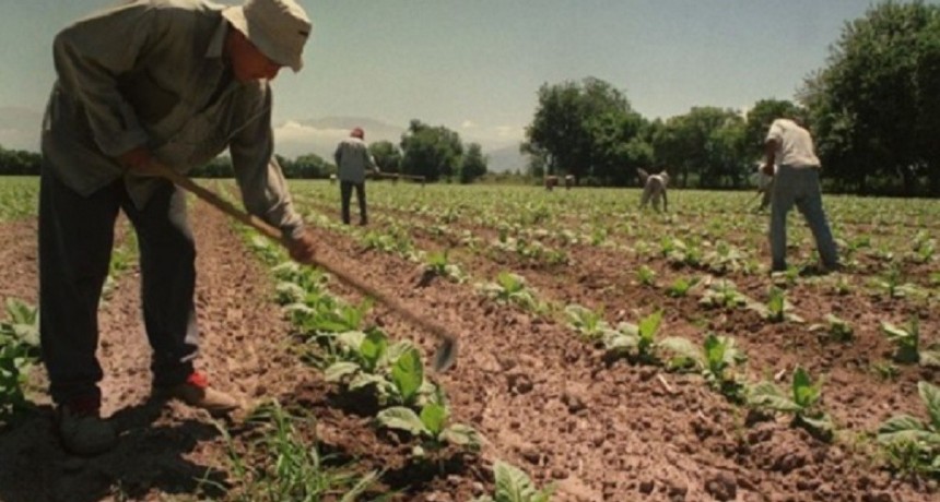 Fijan un aumento para los trabajadores agrarios, que tendr&aacute;n salarios de hasta $326.000