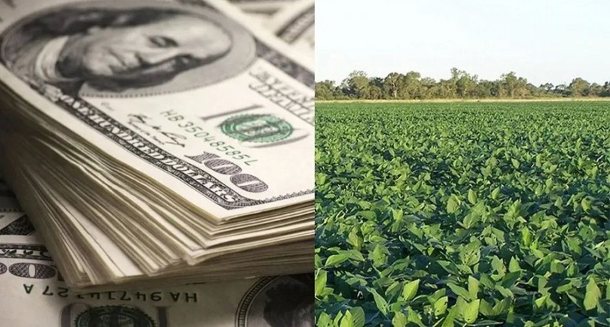 El d&oacute;lar agro se liquidar&aacute; a $365,5