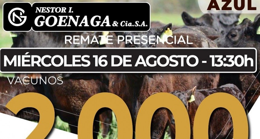 Este mi&eacute;rcoles se realiza el remate de N&eacute;stor I.Goenaga y C&iacute;a