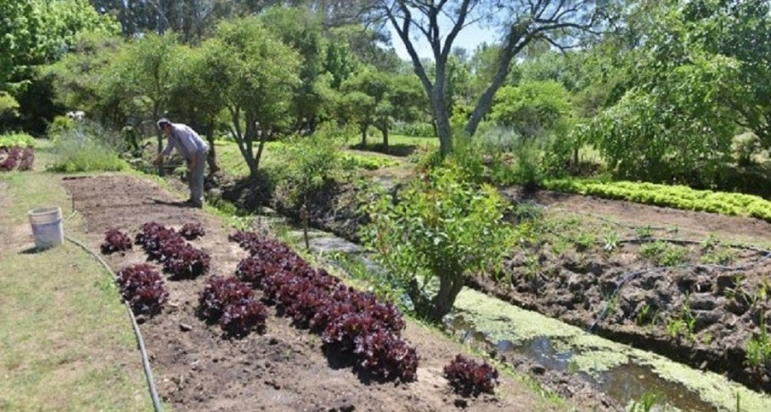 La Secretar&iacute;a de Agricultura lanz&oacute; una nueva edici&oacute;n del Programa CoopAr por $ 3.000 millones