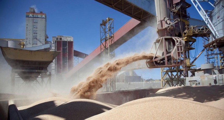 Actualizaci&oacute;n del Registro de Exportadores de Granos de ma&iacute;z, sorgo, soja y cebada a China