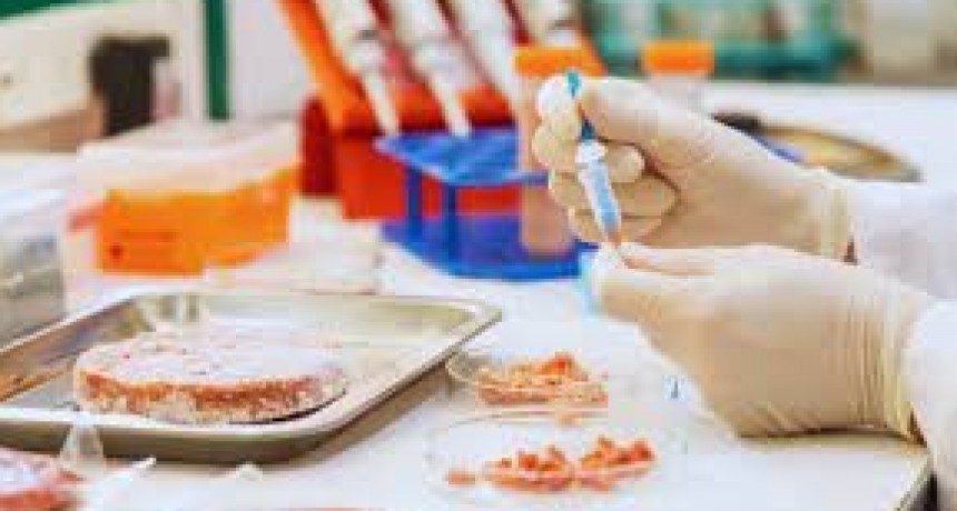 Garantizar la autenticidad de la carne vacuna, es posible