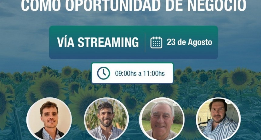 NK ofrece un Workshop de Girasol abierto