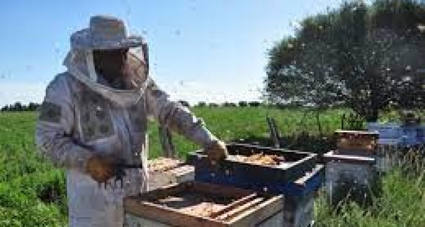 El Gobierno Nacional cre&oacute; el Programa de Fortalecimiento Productivo para la Cadena Ap&iacute;cola