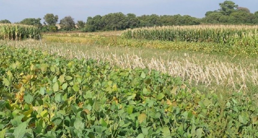 Importaciones: Por las restricciones se complica la cadena de producci&oacute;n