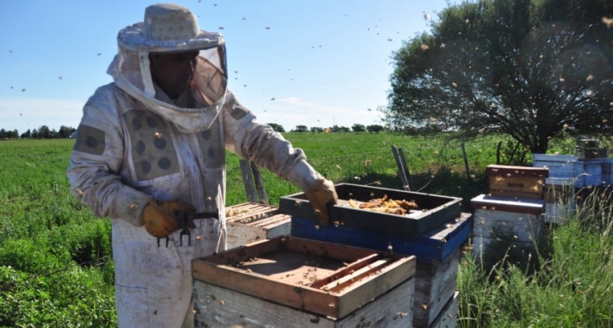 Productores de miel reclamaron este martes y lleg&oacute; una resoluci&oacute;n de ayuda