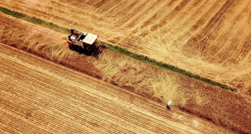 Suben 7,9% los precios de la harina como parte del fideicomiso del trigo