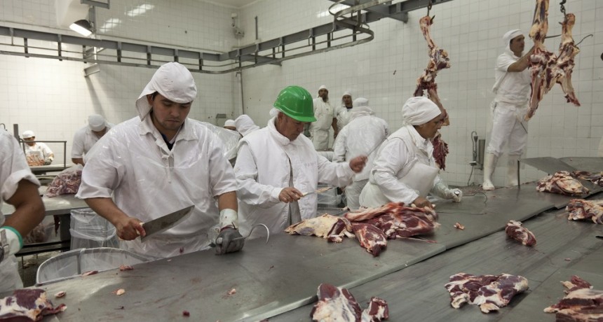 Las exportaciones de carne crecieron m&aacute;s del 9% en el &uacute;ltimo a&ntilde;o