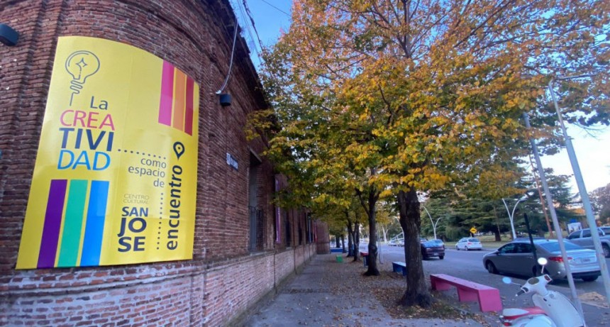 Taller sobre ambiente urbano y arbolado