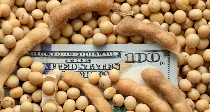 El nuevo &ldquo;d&oacute;lar soja&rdquo; de Massa: un tipo de cambio equivalente a $ 455