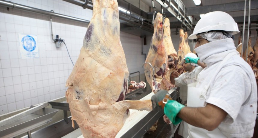 El precio de la hacienda baj&oacute; un 15%, pero los matarifes no creen que repercuta en las carnicer&iacute;as