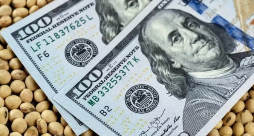 Fuerte suba de la liquidaci&oacute;n de cereales en julio