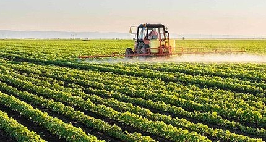 Catalina Loza: organizadora de seguros para productores agropecuarios