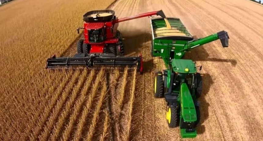 Pese a la cosecha y a los r&eacute;cords del campo, se tuvo que importar un 20% de la molienda