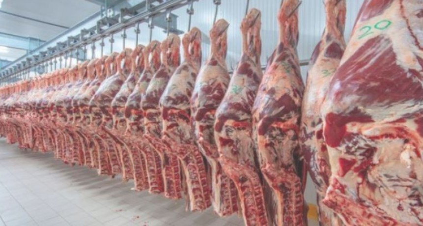 Leve repunte en la faena bovina para el 2do trimestre del a&ntilde;o