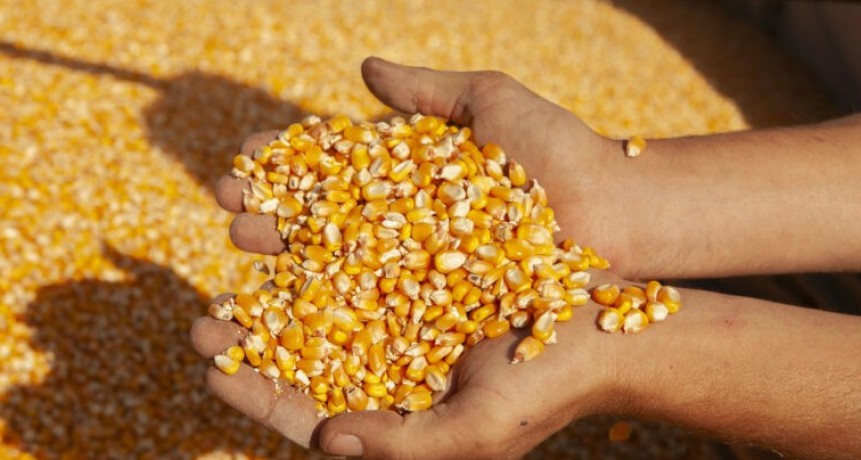 El Gobierno elimin&oacute; un requisito clave que deb&iacute;an cumplir los productores
