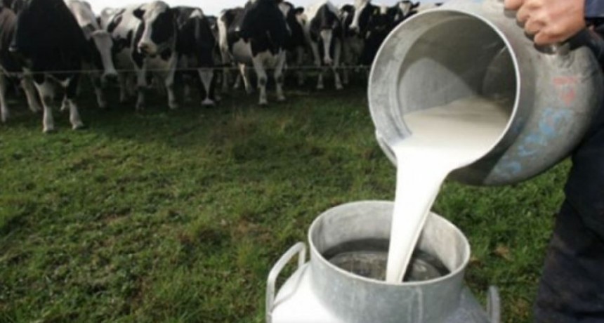 Celebra el sector agroexportador: se eliminan retenciones a los l&aacute;cteos y se reducen en las carnes